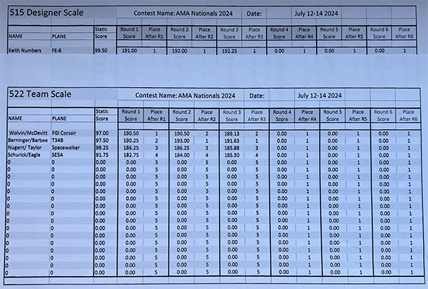 The current scores for Designer Scale (top) and Team Scale (bottom).