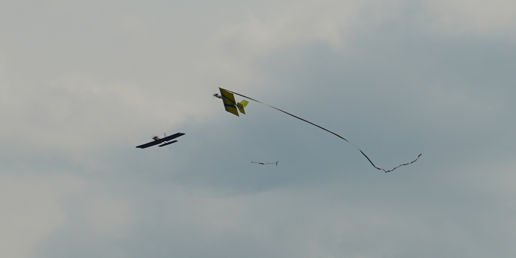 1. GNAT action shot.