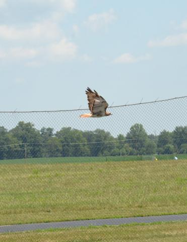 Visitor leaving.