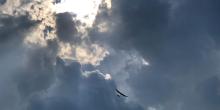 weather flying